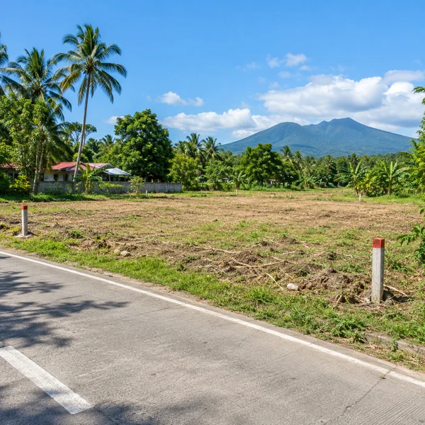 Open vacant lot with corner markers beside a paved municipal road